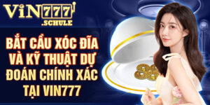 Bắt cầu xóc đĩa