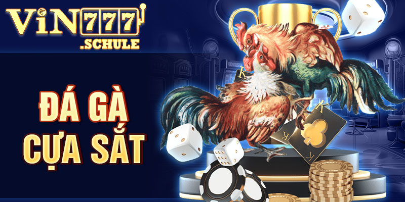 Đá gà cựa sắt