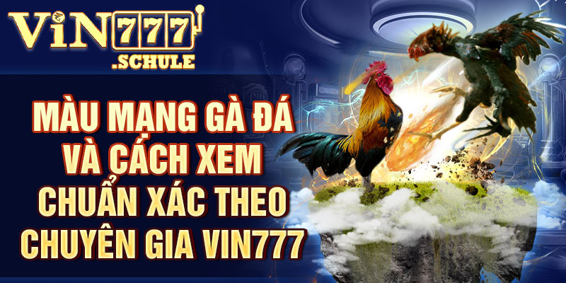 Màu mạng gà đá