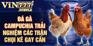Đá gà Campuchia