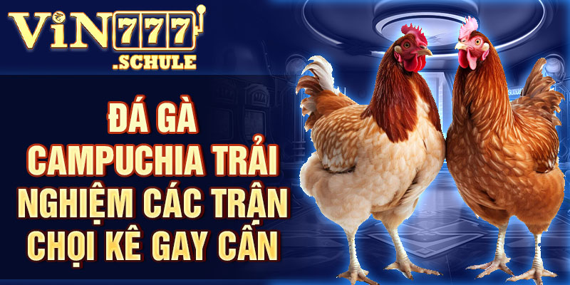 Đá gà Campuchia