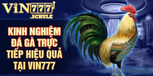Đá Gà Trực Tiếp
