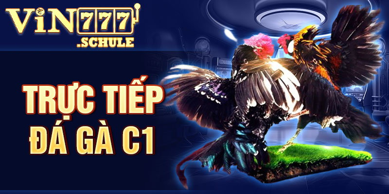 Trực tiếp đá gà C1